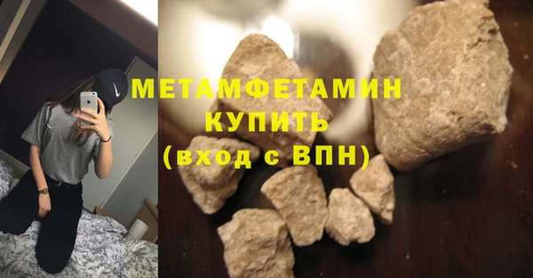 прущие грибы Волосово